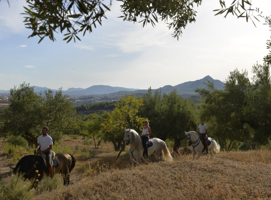 paseo-a-caballo-3