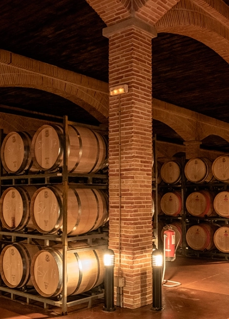 Visita bodega de Villena Francisco Gomez